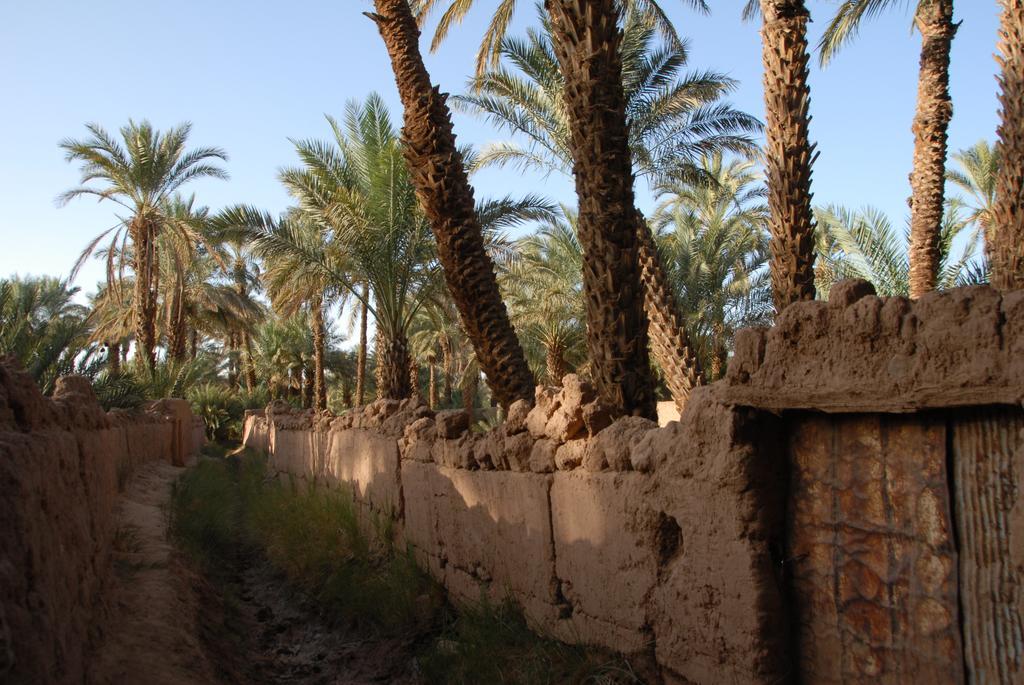 Villa Zagora Ma Villa Au Sahara Exterior foto